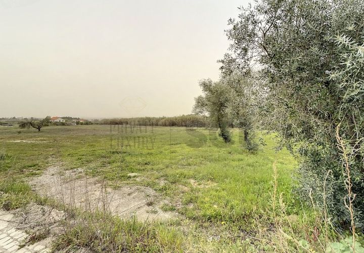 Helårsgrund i Quinta do Anjo, Setubal, Quinta do Anjo - € 475.000 | Ref: 8997 - foto 1