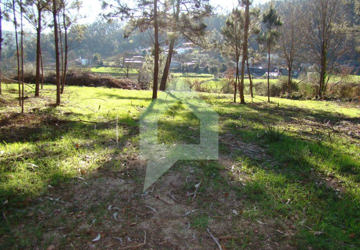 Terra a Barcelos, Braga, Barcelos - € 60.000 | Ref: 1781. - foto 1