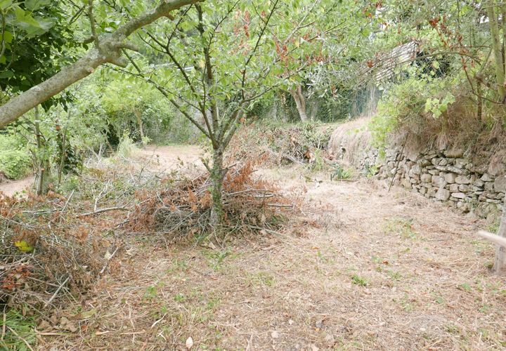 Terra a Soldano, Imperia, Soldano - € 11.500 | Ref: 6988399 - foto 1