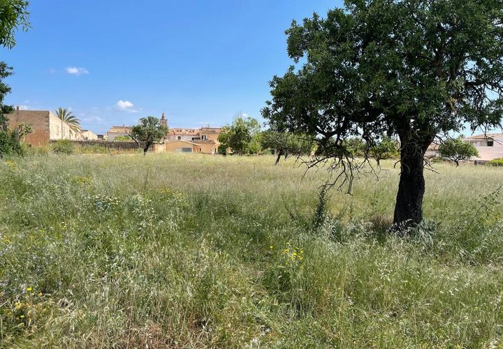 Helårsgrund i Consell, Mallorca, Consell - € 1.275.000 | Ref: 74272 - foto 1