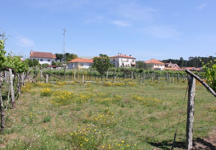 Helårsgrund i Moncao, Viana do Castelo, Moncao - € 107.000 | Ref: REF115 - foto 1