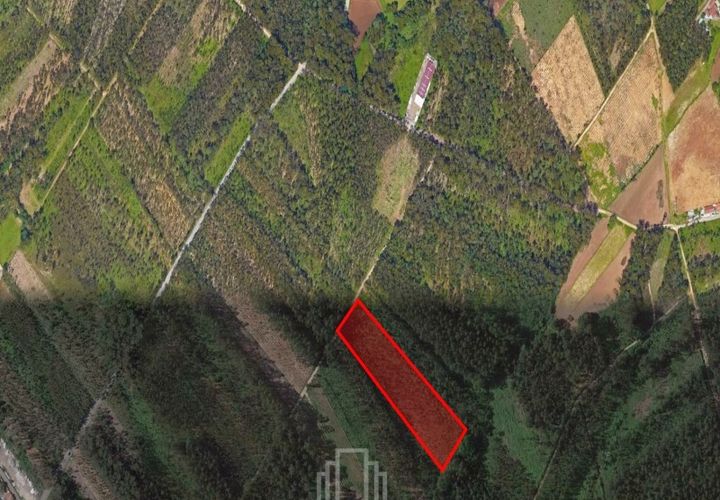 Helårsgrund i Estarreja, Aveiro, Estarreja - € 17.000 | Ref: 678 - foto 1