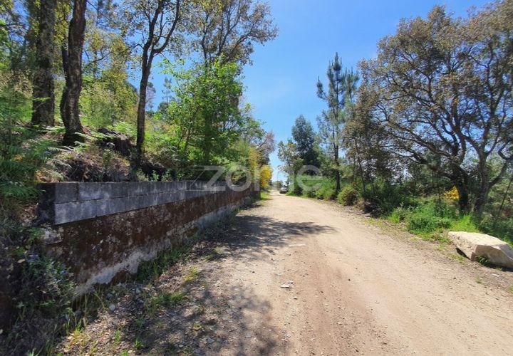 Grond in Barcelos, Braga, Barcelos - € 99.900 | Ref: ZMPT550075 - foto 1