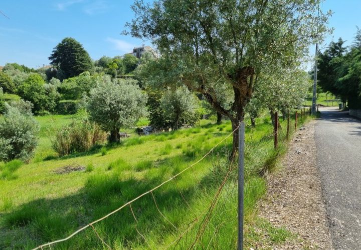 Helårsgrund i Tomar, Santarem, Tomar - € 75.000 | Ref: 22232-MB - foto 1