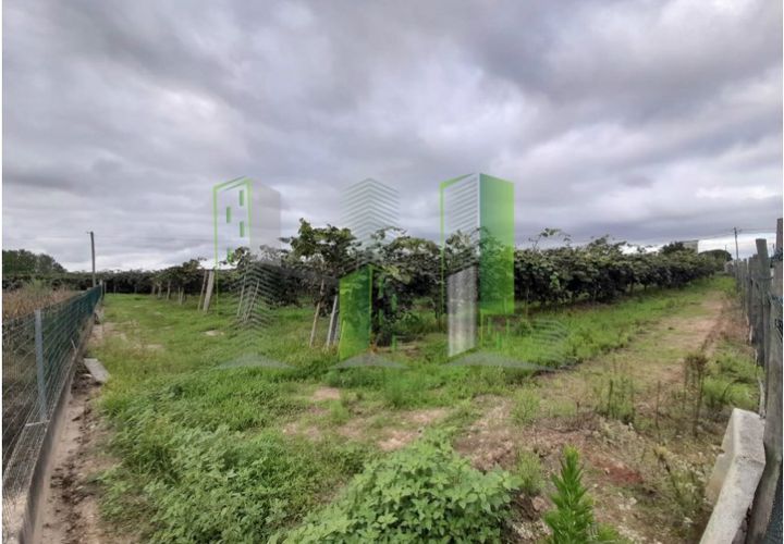 Helårsgrund i Cantanhede, Coimbra, Cantanhede - € 50.000 | Ref: CNTVS 3773 - foto 1