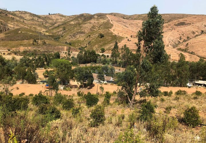 Helårsgrund i Silves, Faro, Silves - € 1.200.000 | Ref: LL038 - foto 1