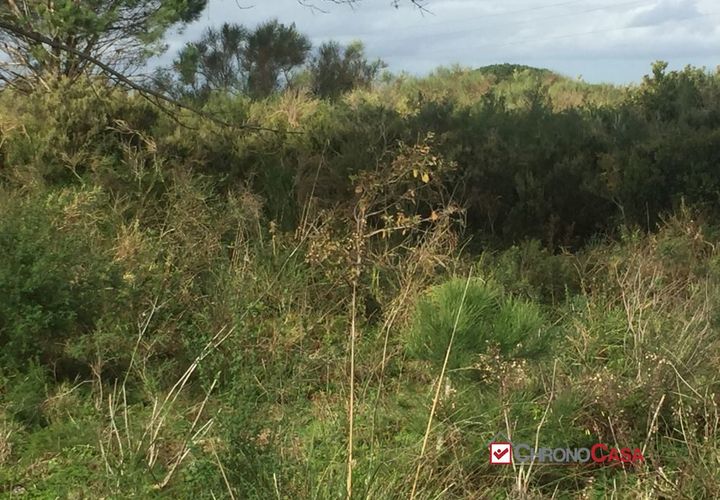 Helårsgrund i Messina, Messina, Messina - € 16.000 | Ref: MFE-5493 - foto 1