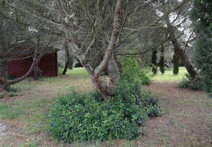 Terra a Badens, Aude, Badens - € 116.667 | Ref: 5618 - foto 1