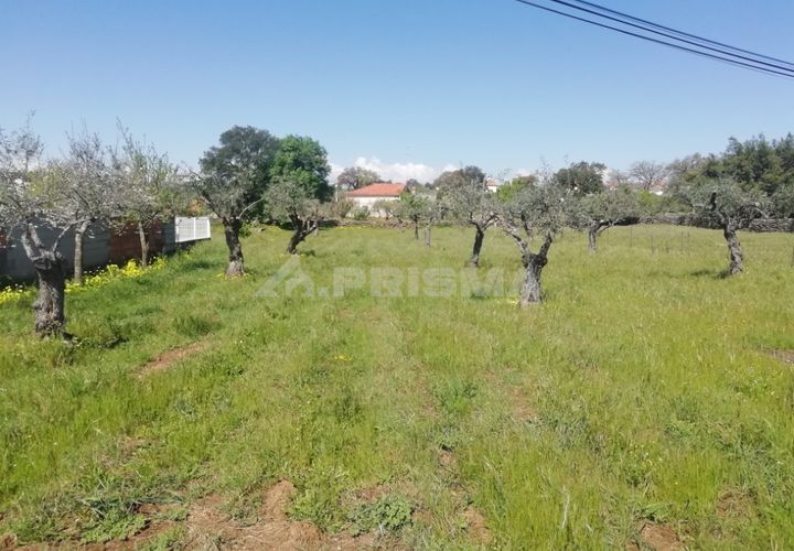 Helårsgrund i Castelo Branco, Castelo Branco, Castelo Branco - € 22.000 | Ref: PP3904 - foto 1