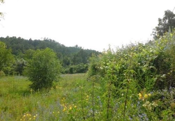 Helårsgrund i Arcos de Valdevez, Viana do Castelo, Arcos de Valdevez - € 118.000 | Ref: 1791 - foto 1