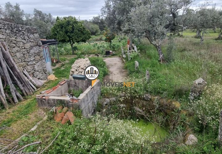 Helårsgrund i Castelo Branco, Castelo Branco, Castelo Branco - € 20.000 | Ref: 2450 - foto 1
