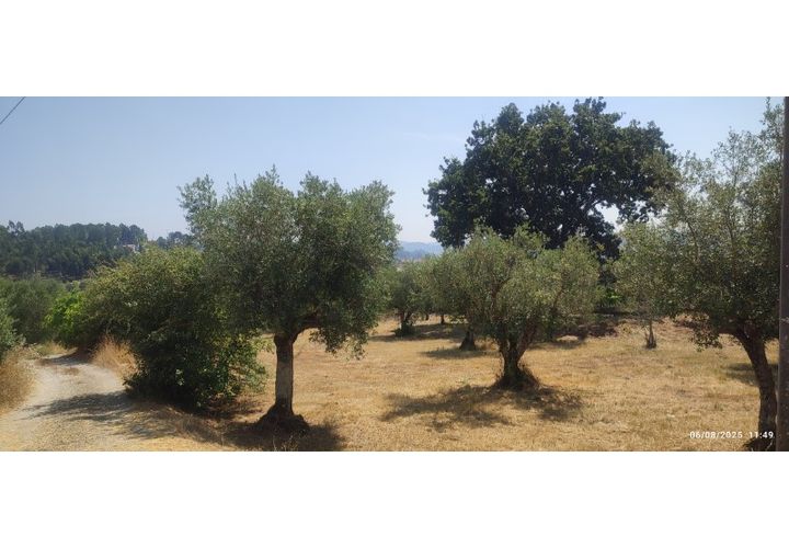 Helårsgrund i Ourem, Santarem, Ourem - € 29.000 | Ref: UH-4768 - foto 1