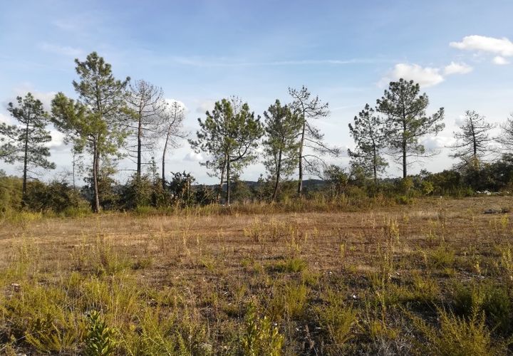 Helårsgrund i Ourem, Santarem, Ourem - € 45.000 | Ref: UH-3209 - foto 1