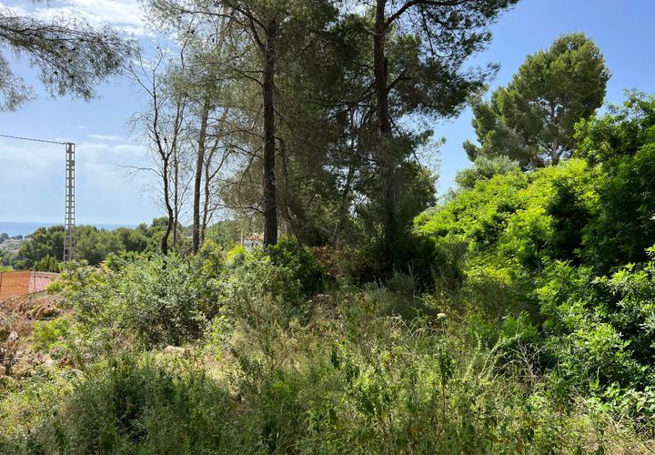 Helårsgrund i Benissa, Alicante, Benissa - € 565.000 | Ref: PD40034 - foto 1