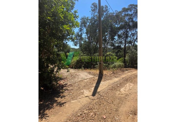 Terra a Marmelete, Faro, Marmelete - € 118.000 | Ref: LT-5651 - foto 1