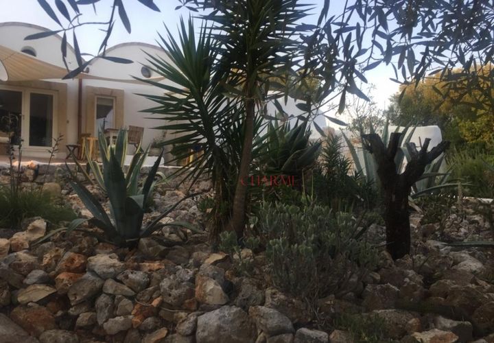 Landejendom i Ostuni, Brindisi, Ostuni - € 11.111.111 | Ref: 179 - foto 1