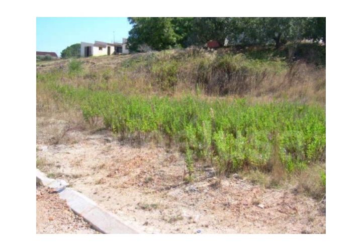 Helårsgrund i Tavarede, Coimbra, Tavarede - € 130.000 | Ref: F0281 - foto 1