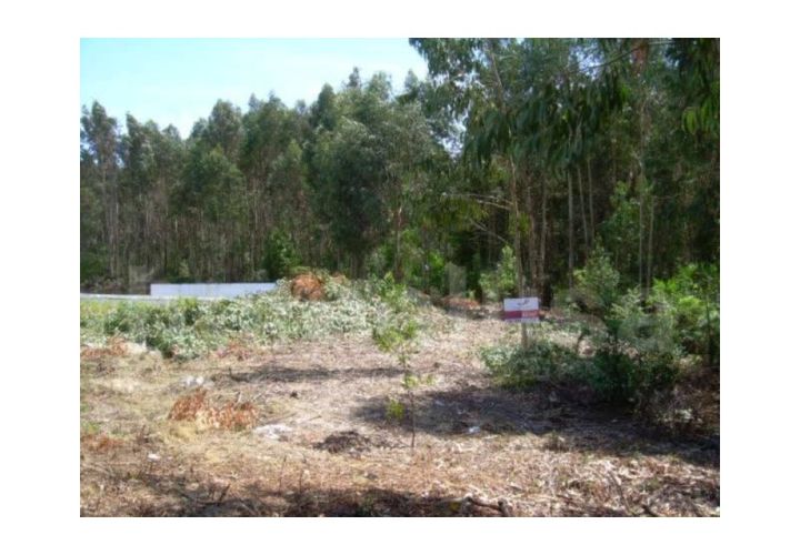 Terra a Lavos, Coimbra, Lavos - € 57.500 | Ref: FFTM F0071 - foto 1