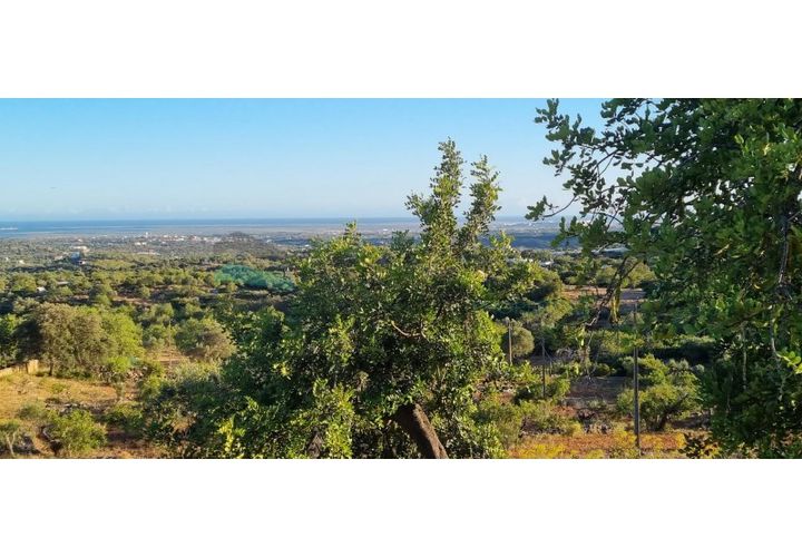 Helårsgrund i Estoi, Faro, Estoi - € 375.000 | Ref: HTP-0307 - foto 1