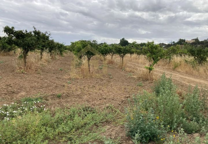 Helårsgrund i Quinta do Anjo, Setubal, Quinta do Anjo - € 290.000 | Ref: 1362 - foto 1