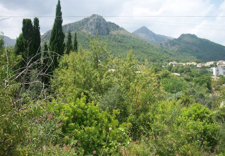 Helårsgrund i Orba, Alicante, Orba - € 80.000 | Ref: 02283 - foto 1