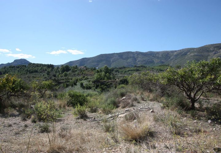 Terra a Murla, Alicante, Murla - € 220.000 | Ref: 00880 - foto 1