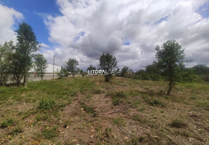 Helårsgrund i Agueda, Aveiro, Agueda - € 320.000 | Ref: VEN-3474 - foto 1