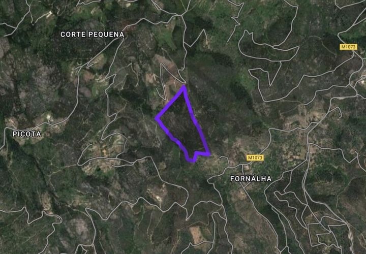 Helårsgrund i Monchique, Faro, Monchique - € 77.000 | Ref: MS038 - foto 1