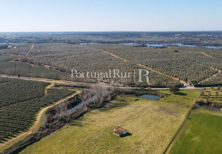 Farm i Avis, Portalegre, Avis - € 490.000 | Ref: 788-2 - foto 1
