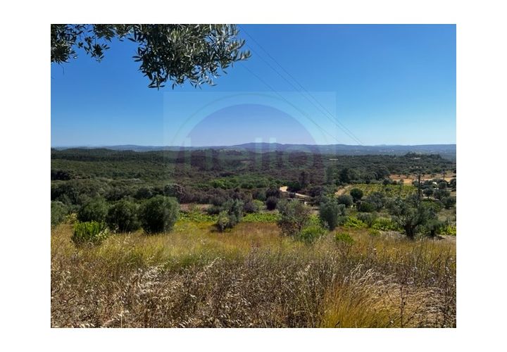 Helårsgrund i Tomar, Santarem, Tomar - € 35.000 | Ref: T 289 - foto 1