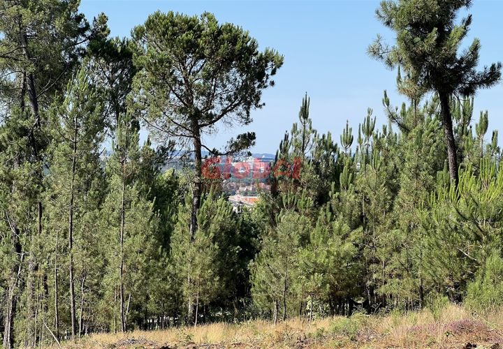 Helårsgrund i Viseu, Viseu, Viseu - € 55.000 | Ref: 189222217 - foto 1
