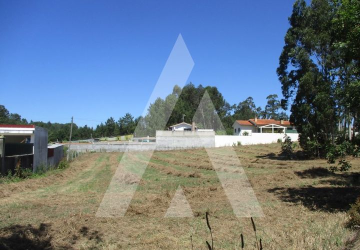 Terra a Oia, Aveiro, Oia - € 80.000 | Ref: 1050926/22 OB - foto 1