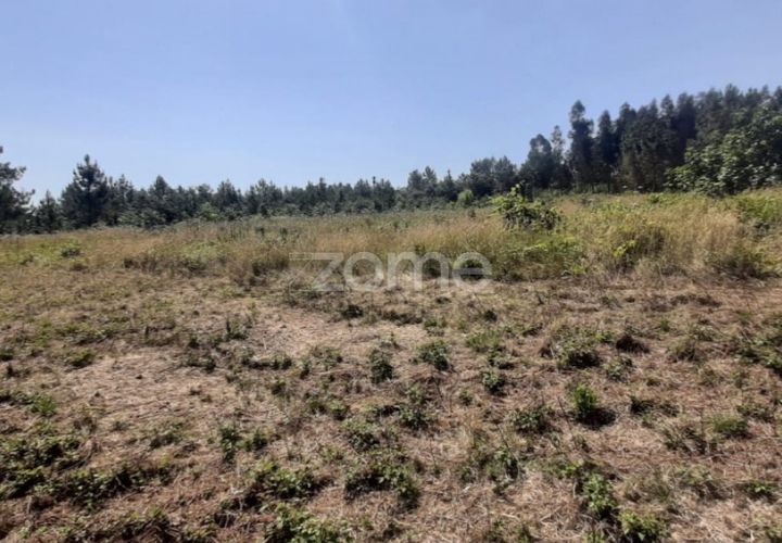 Helårsgrund i Soure, Coimbra, Soure - € 49.900 | Ref: ZMPT551254 - foto 1