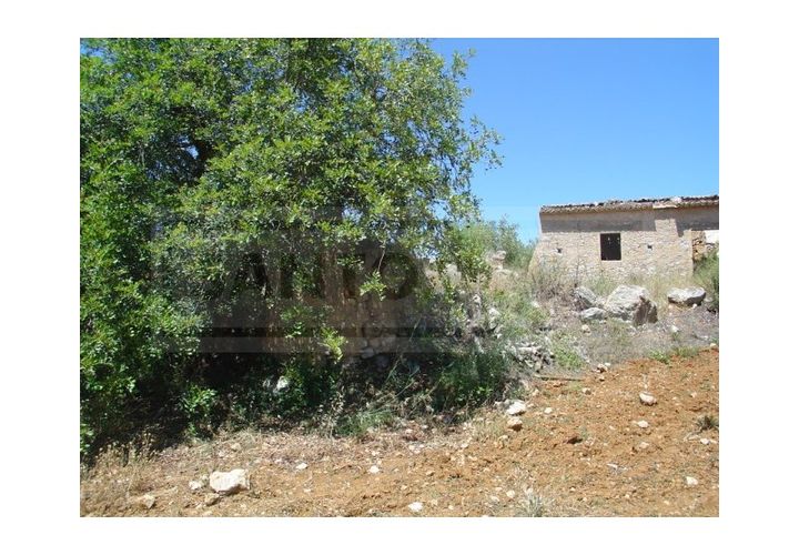 Helårsgrund i Albufeira, Faro, Albufeira - € 1.200.000 | Ref: 920 - foto 1