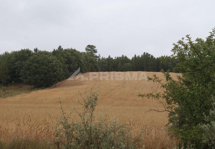 Helårsgrund i Fundao, Castelo Branco, Fundao - € 23.000 | Ref: PP3900 - foto 1