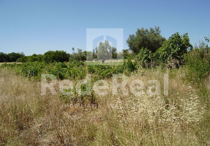 Ruin i Benafim, Faro, Benafim - € 81 000 | Ref: 021090227 - foto 1
