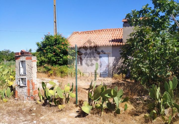 Terra a Couco, Santarem, Couco - € 127.500 | Ref: IMOPP-00096 - foto 1