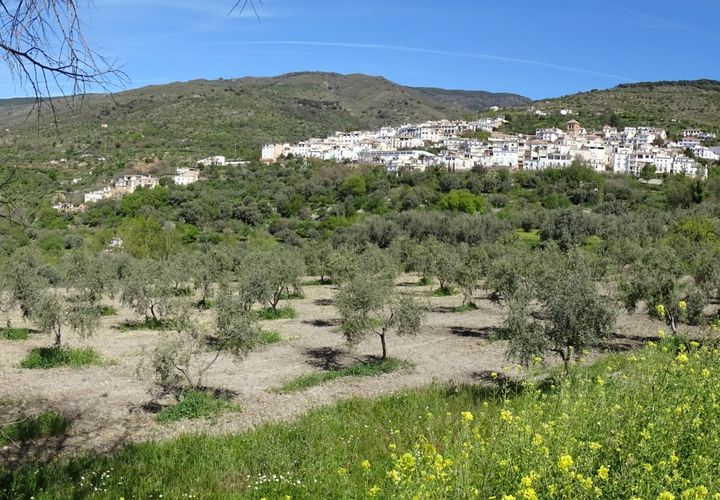 Terra a Valor, Granada, Valor - € 32.000 | Ref: VC463 - foto 1