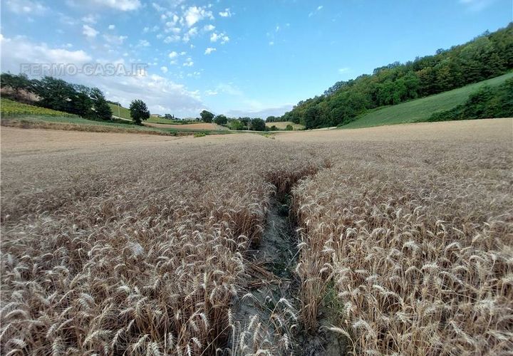 Terra a Montottone, Fermo, Montottone - € 80.000 | Ref: Mtt002 - foto 1