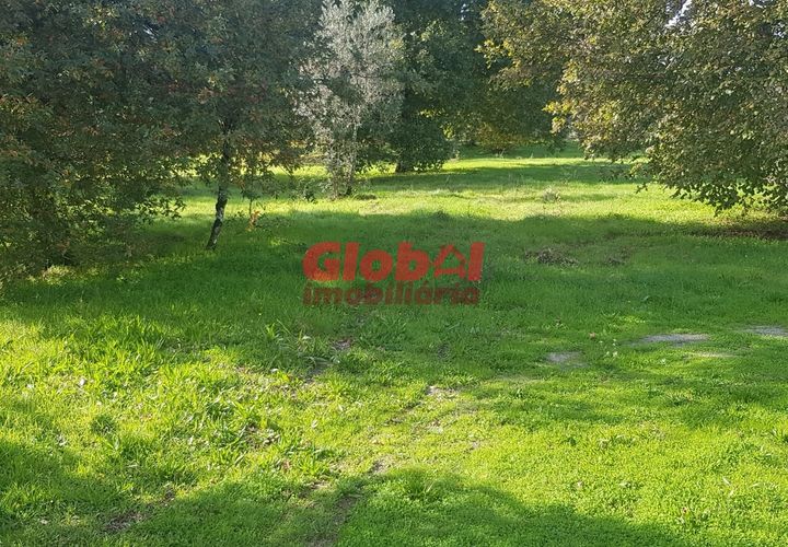Helårsgrund i Viseu, Viseu, Viseu - € 105.000 | Ref: 189222263 - foto 1