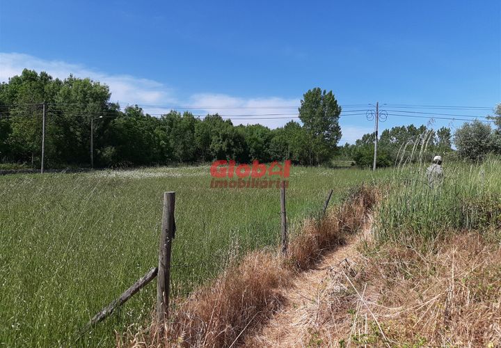 Helårsgrund i Nelas, Viseu, Nelas - € 60.000 | Ref: 189222268 - foto 1