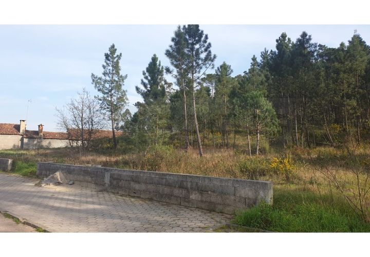 Helårsgrund i Oliveira do Bairro, Aveiro, Oliveira do Bairro - € 60.000 | Ref: AV22/032 - foto 1