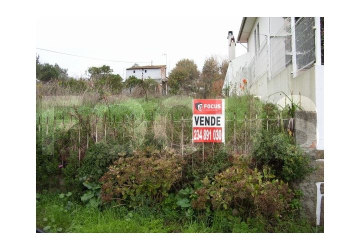 Terra a Angeja, Aveiro, Angeja - € 59.000 | Ref: 7953 - foto 1