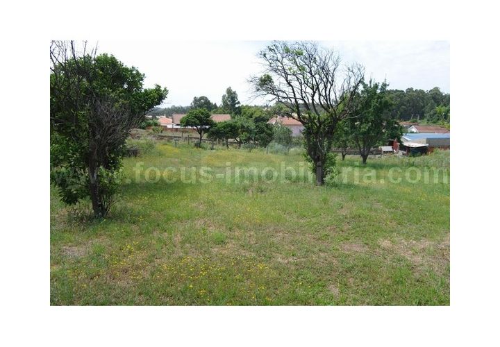 Farm i Eixo e Eirol, Aveiro, Eixo e Eirol - € 210.000 | Ref: 7541 - foto 1