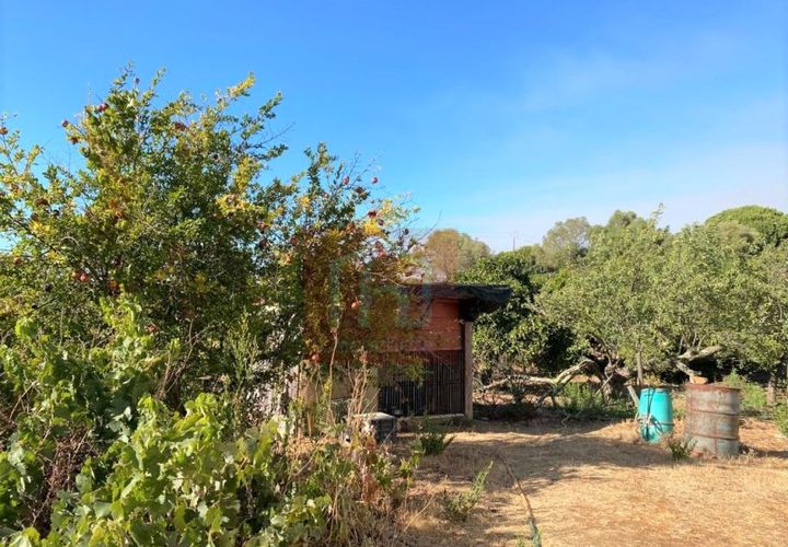 Helårsgrund i Alcochete, Setubal, Alcochete - € 995.000 | Ref: HA365 - foto 1