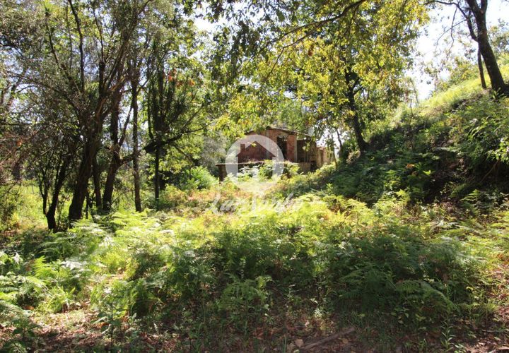 Farm i Amares, Braga, Amares - € 138.000 | Ref: 240-Q-23800 - foto 1