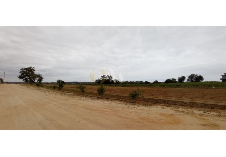 Farm i Guia, Faro, Guia - € 7.500.000 | Ref: LC _214 - foto 1