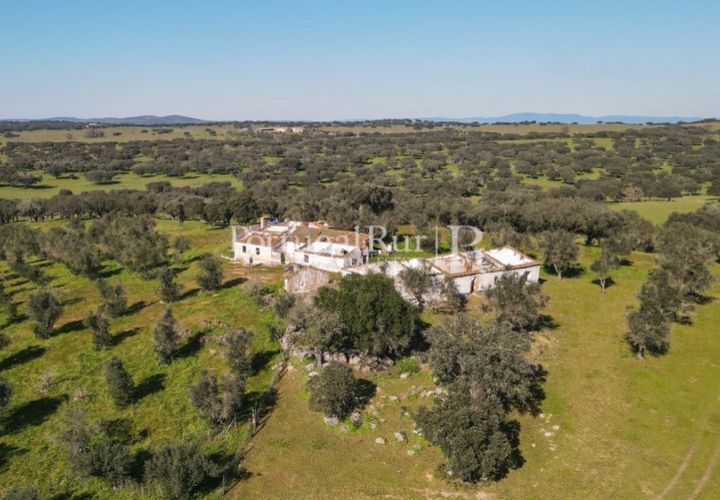 Landejendom i Monforte, Portalegre, Monforte - € 495.000 | Ref: 636-2 - foto 1