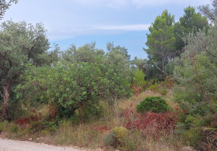 Finca i Aldover, Tarragona, Aldover - € 11.000 | Ref: 739 - foto 1