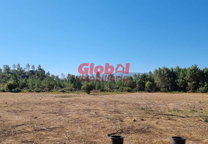 Farm i Mangualde, Viseu, Mangualde - € 55.000 | Ref: 189222261 - foto 1